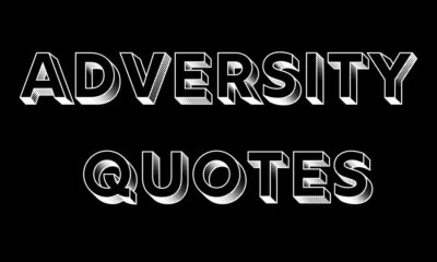 adversity quotes