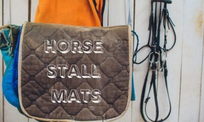 horse stall mats