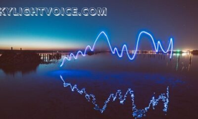 skylightvoice.com