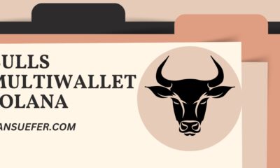 bulls multiwallet solana